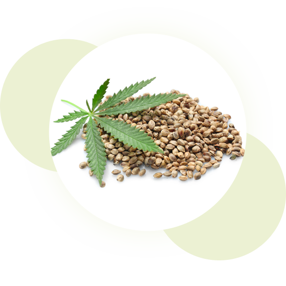 Zu den Ölen – NaturWiki